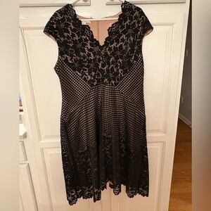 Maggy London Black and Beige Lace Midi Dress